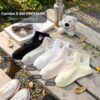 Combo 5 Đôi Tất Cổ Ngắn Thêu Hình Gấu Cực Chất – Cotton Co Giãn, Thấm Hút Mồ Hôi