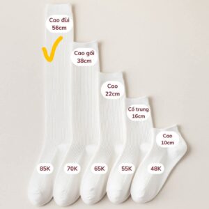 Tất Cotton Nữ Cổ Cao Đùi 56cm Gân Tăm Trơn Basic Phong Cách Hàn Quốc