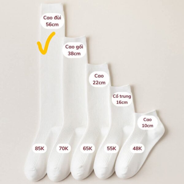 Tất Cotton Nữ Cổ Cao Đùi 56cm Gân Tăm Trơn Basic Phong Cách Hàn Quốc